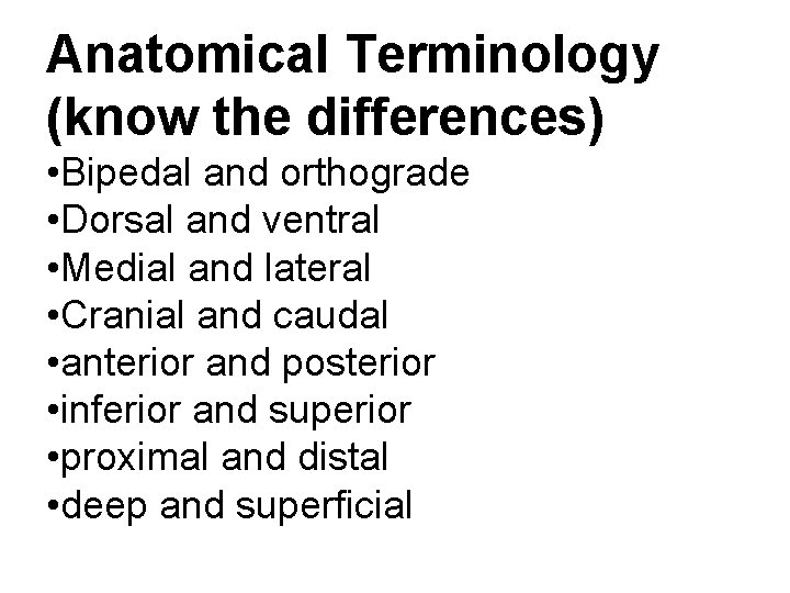 Anatomical Terminology (know the differences) • Bipedal and orthograde • Dorsal and ventral •