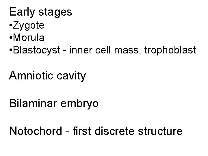 Early stages • Zygote • Morula • Blastocyst - inner cell mass, trophoblast Amniotic