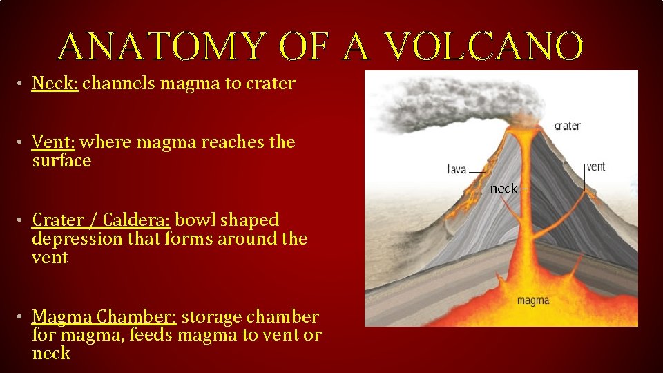 ANATOMY OF A VOLCANO • Neck: channels magma to crater • Vent: where magma