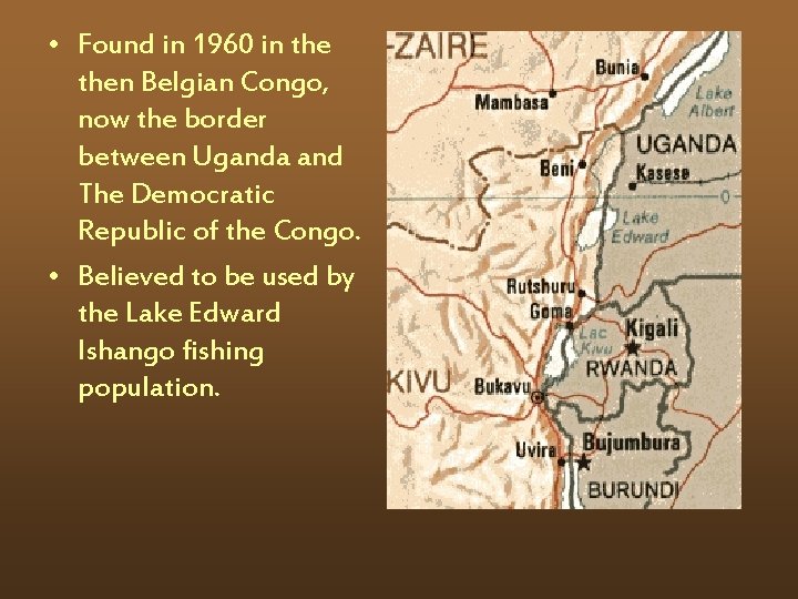  • Found in 1960 in then Belgian Congo, now the border between Uganda