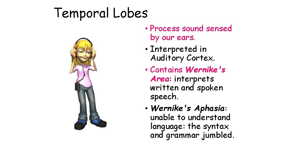 Temporal Lobes • Process sound sensed by our ears. • Interpreted in Auditory Cortex.