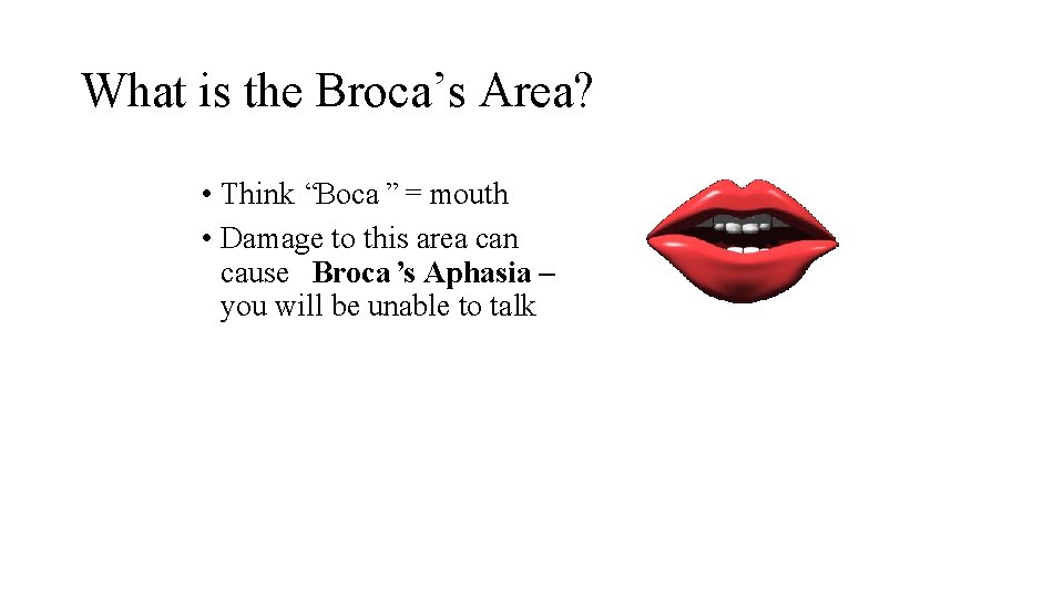 What is the Broca’s Area? • Think “Boca ” = mouth • Damage to
