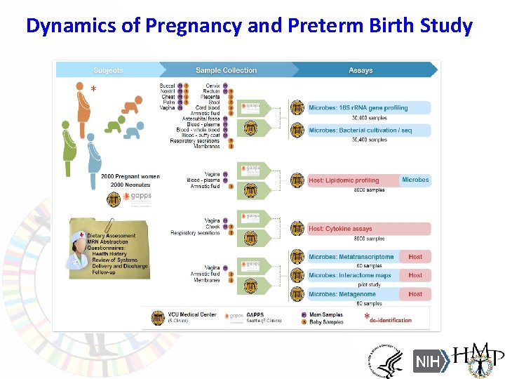 Dynamics of Pregnancy and Preterm Birth Study 14 
