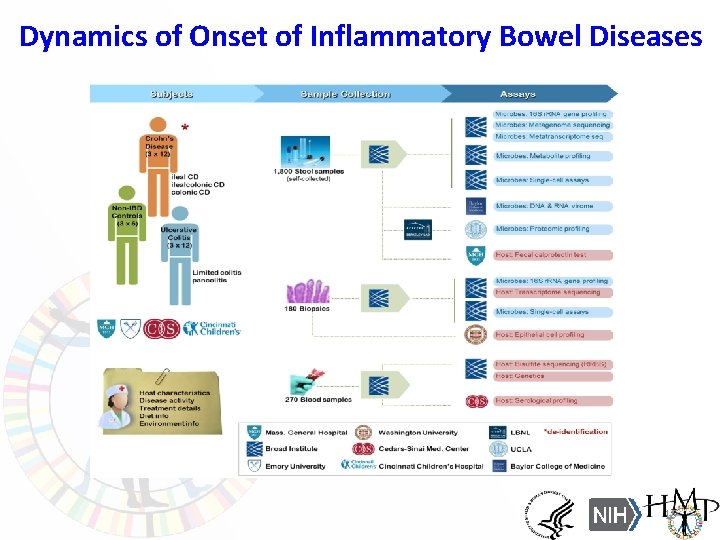 Dynamics of Onset of Inflammatory Bowel Diseases 15 