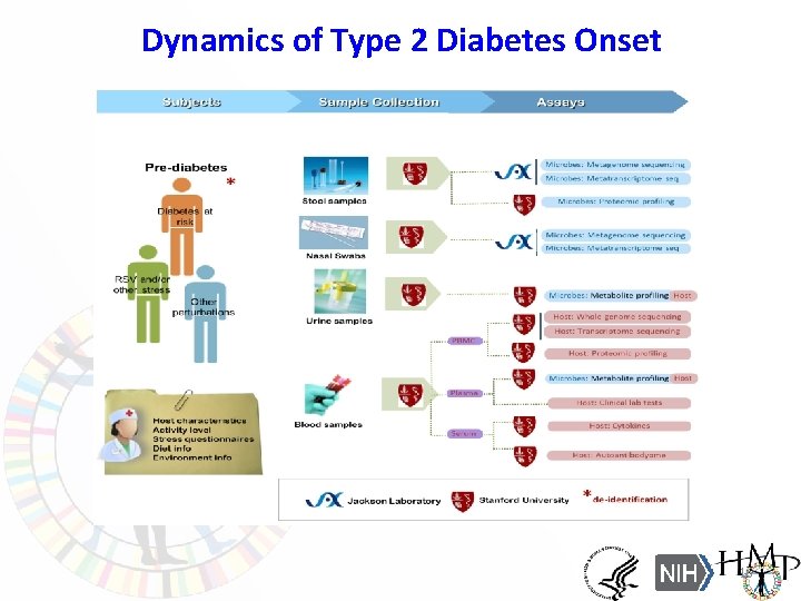 Dynamics of Type 2 Diabetes Onset 16 