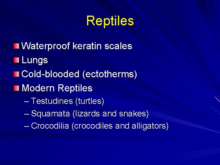 Reptiles Waterproof keratin scales Lungs Cold-blooded (ectotherms) Modern Reptiles – Testudines (turtles) – Squamata