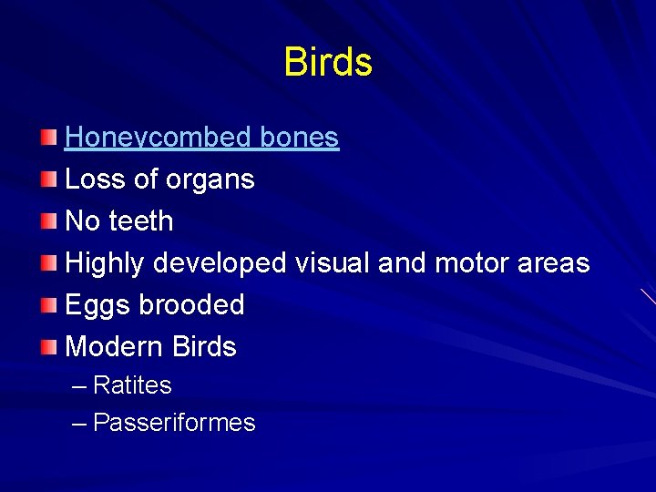 Birds Honeycombed bones Loss of organs No teeth Highly developed visual and motor areas