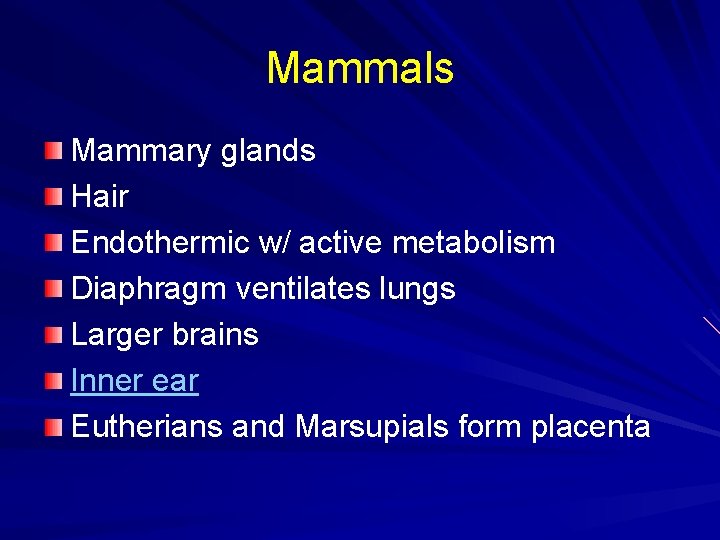 Mammals Mammary glands Hair Endothermic w/ active metabolism Diaphragm ventilates lungs Larger brains Inner