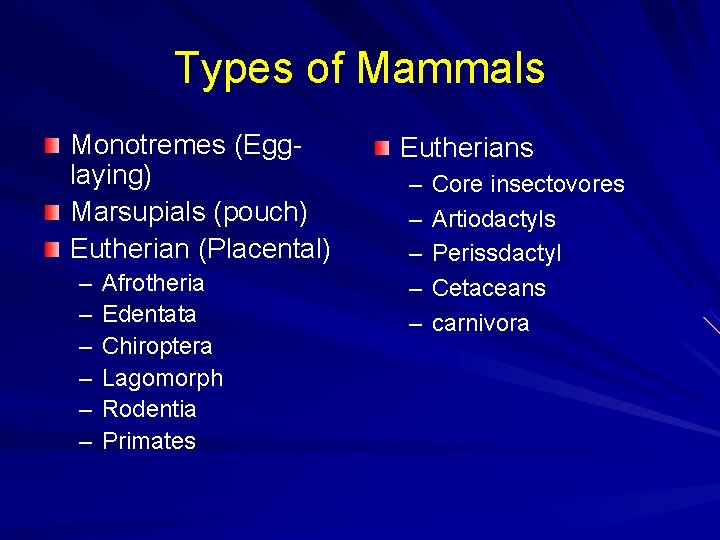 Types of Mammals Monotremes (Egglaying) Marsupials (pouch) Eutherian (Placental) – – – Afrotheria Edentata