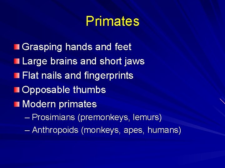 Primates Grasping hands and feet Large brains and short jaws Flat nails and fingerprints