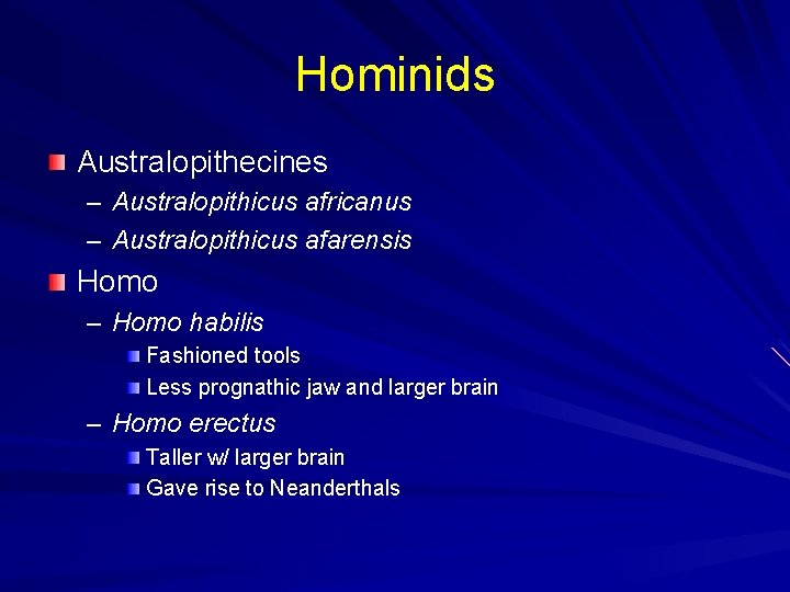 Hominids Australopithecines – Australopithicus africanus – Australopithicus afarensis Homo – Homo habilis Fashioned tools