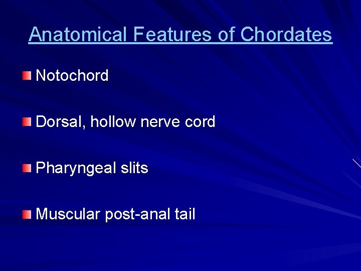 Anatomical Features of Chordates Notochord Dorsal, hollow nerve cord Pharyngeal slits Muscular post-anal tail