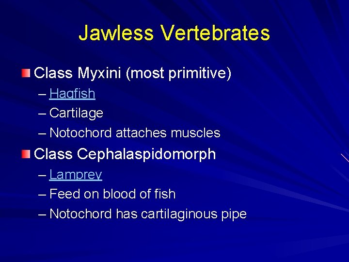 Jawless Vertebrates Class Myxini (most primitive) – Hagfish – Cartilage – Notochord attaches muscles
