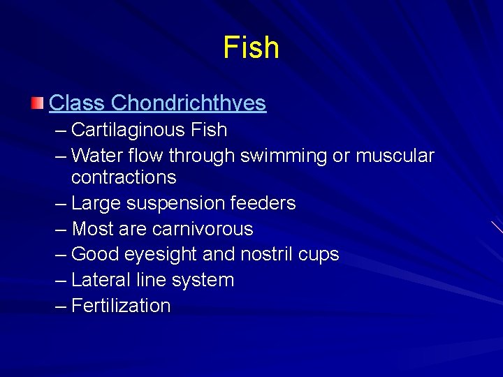 Fish Class Chondrichthyes – Cartilaginous Fish – Water flow through swimming or muscular contractions