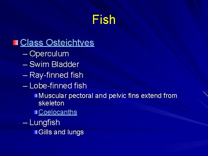 Fish Class Osteichtyes – Operculum – Swim Bladder – Ray-finned fish – Lobe-finned fish