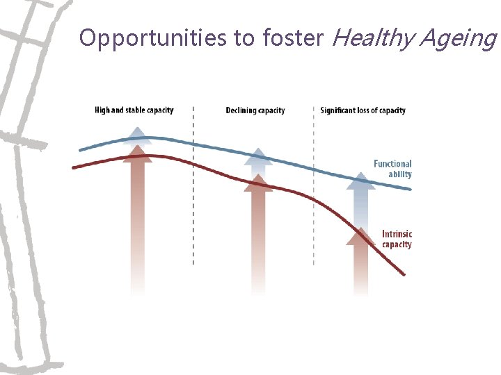 Opportunities to foster Healthy Ageing 