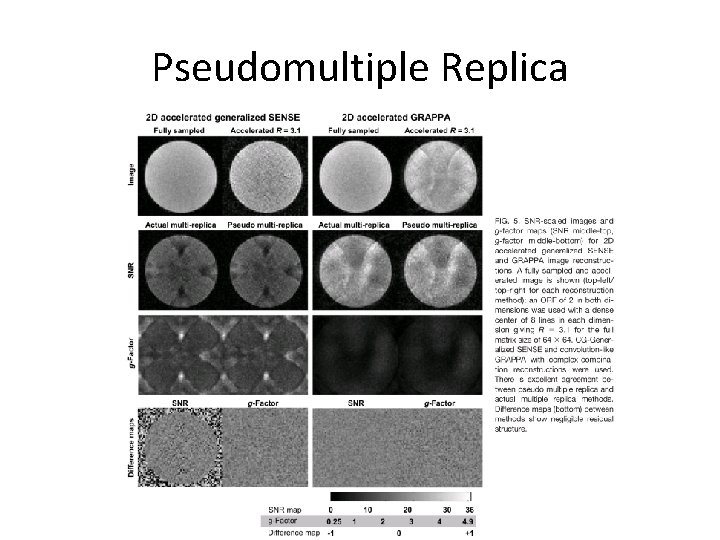 Pseudomultiple Replica 