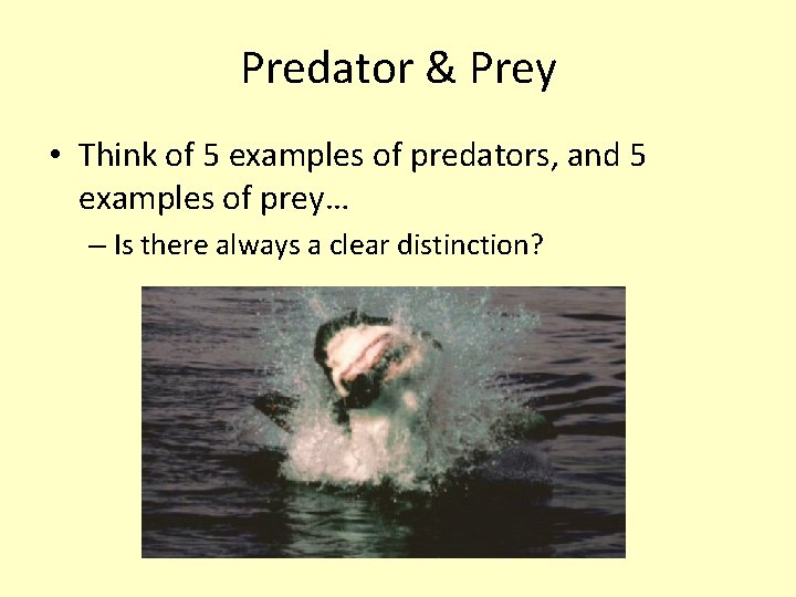 Predator & Prey • Think of 5 examples of predators, and 5 examples of