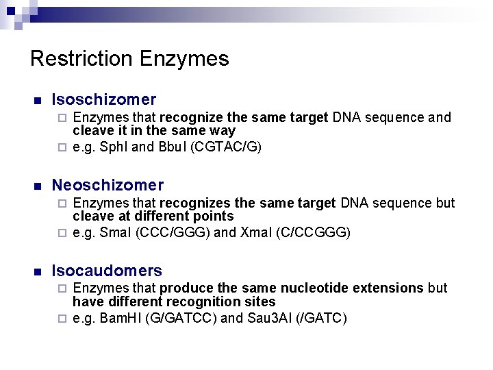 Restriction Enzymes n Isoschizomer Enzymes that recognize the same target DNA sequence and cleave