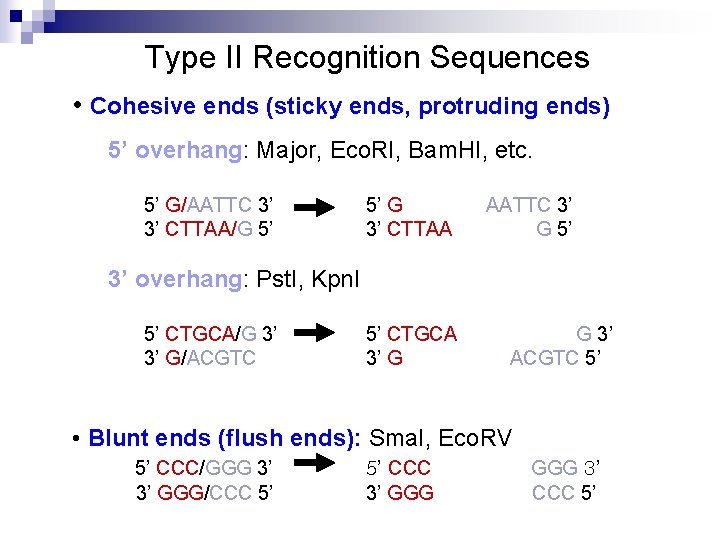 Type II Recognition Sequences • Cohesive ends (sticky ends, protruding ends) 5’ overhang: Major,