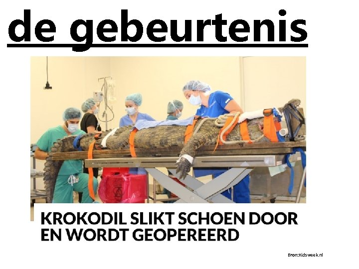 de gebeurtenis Bron: Kidsweek. nl 