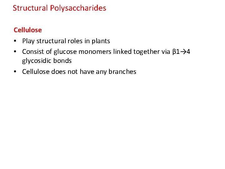 Structural Polysaccharides Cellulose • Play structural roles in plants • Consist of glucose monomers