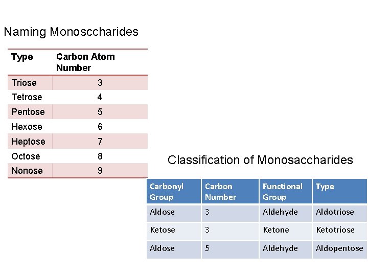 Naming Monosccharides Type Carbon Atom Number Triose 3 Tetrose 4 Pentose 5 Hexose 6