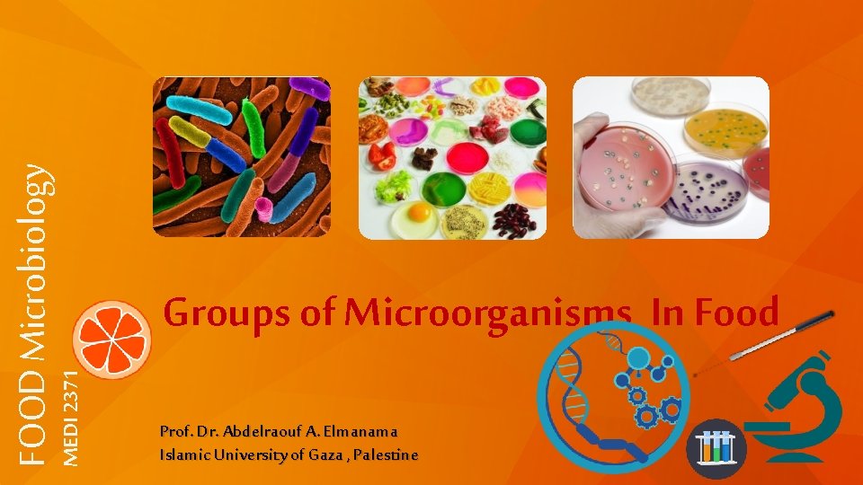 MEDI 2371 FOOD Microbiology Groups of Microorganisms In Food Prof. Dr. Abdelraouf A. Elmanama