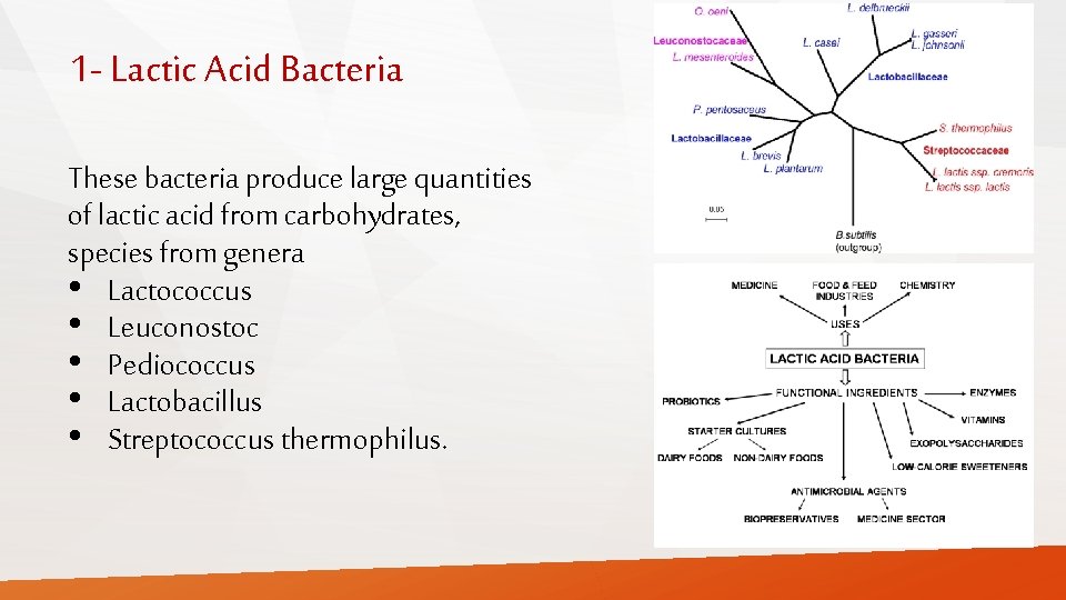 1 - Lactic Acid Bacteria These bacteria produce large quantities of lactic acid from