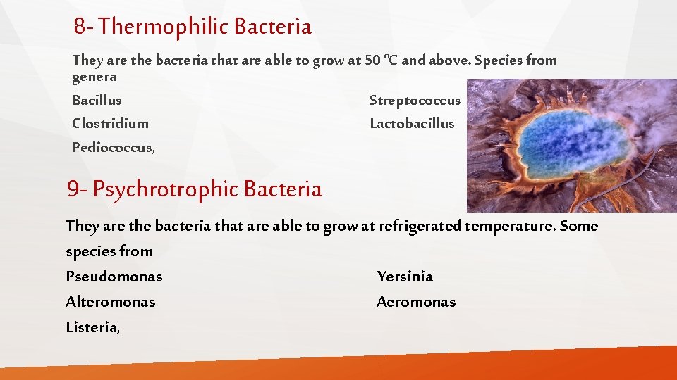 8 - Thermophilic Bacteria They are the bacteria that are able to grow at