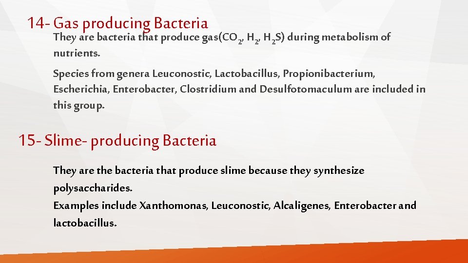 14 - Gas producing Bacteria They are bacteria that produce gas(CO 2, H 2