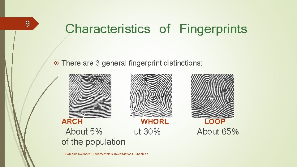9 Characteristics of Fingerprints There are 3 general fingerprint distinctions: ARCH WHORL About 5%