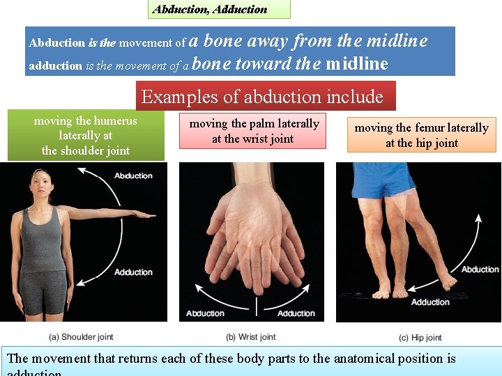 Abduction, Adduction Abduction is the movement of a bone away from the midline adduction