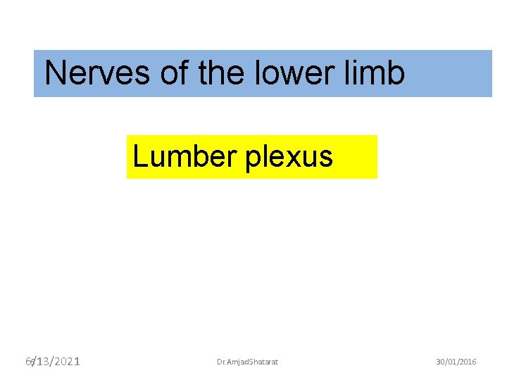 Nerves of the lower limb Lumber plexus 6/13/2021 5 Dr. Amjad Shatarat 30/01/2016 