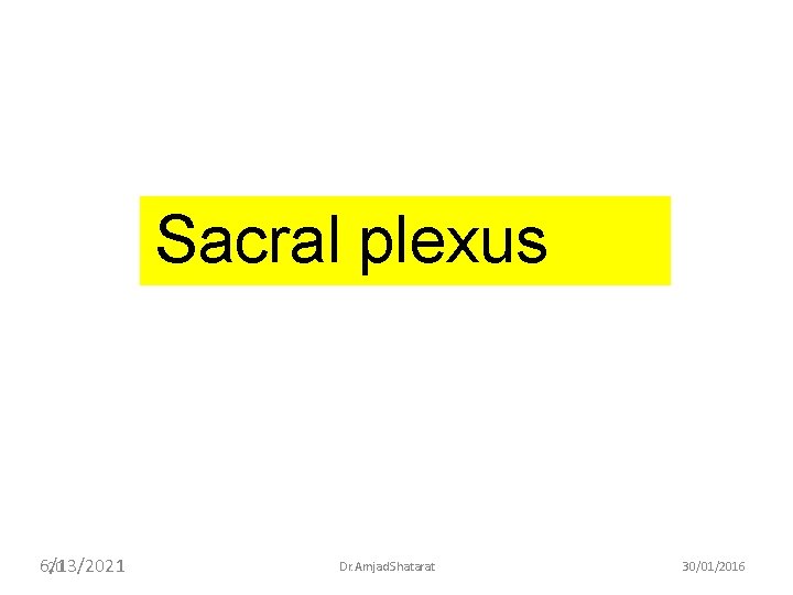 Sacral plexus 6/13/2021 20 Dr. Amjad Shatarat 30/01/2016 