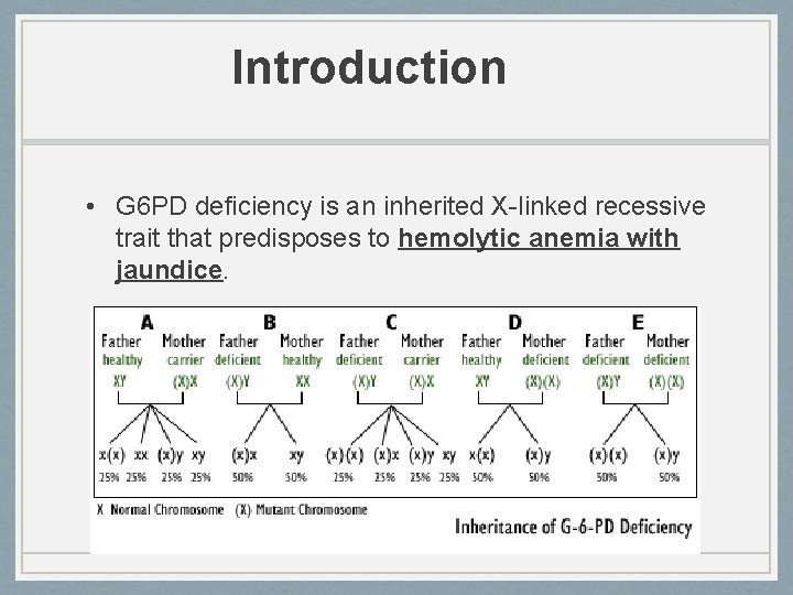 Introduction • G 6 PD deficiency is an inherited X-linked recessive trait that predisposes