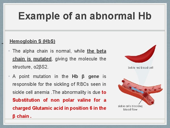 Example of an abnormal Hb Hemoglobin S (Hb. S) • The alpha chain is