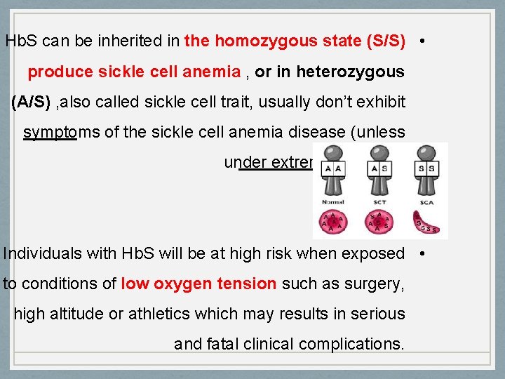 Hb. S can be inherited in the homozygous state (S/S) • produce sickle cell