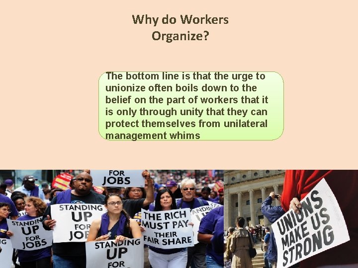 Why do Workers Organize? The bottom line is that the urge to unionize often