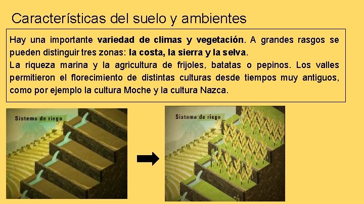 Características del suelo y ambientes Hay una importante variedad de climas y vegetación. A