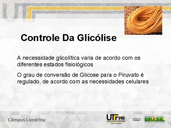 Controle Da Glicólise A necessidade glicolítica varia de acordo com os diferentes estados fisiológicos