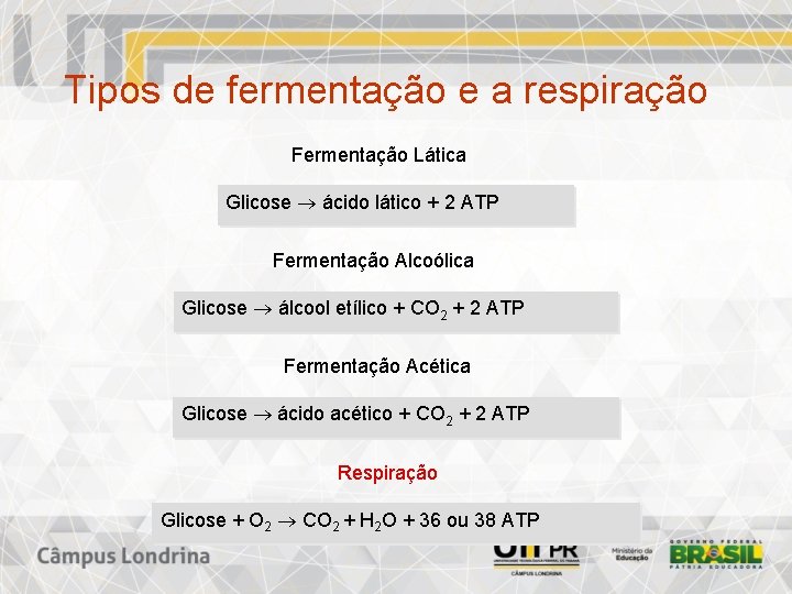 Tipos de fermentação e a respiração Fermentação Lática Glicose ácido lático + 2 ATP