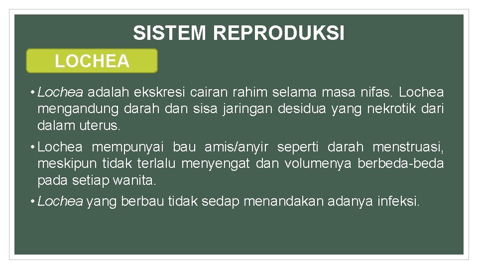 SISTEM REPRODUKSI LOCHEA • Lochea adalah ekskresi cairan rahim selama masa nifas. Lochea mengandung