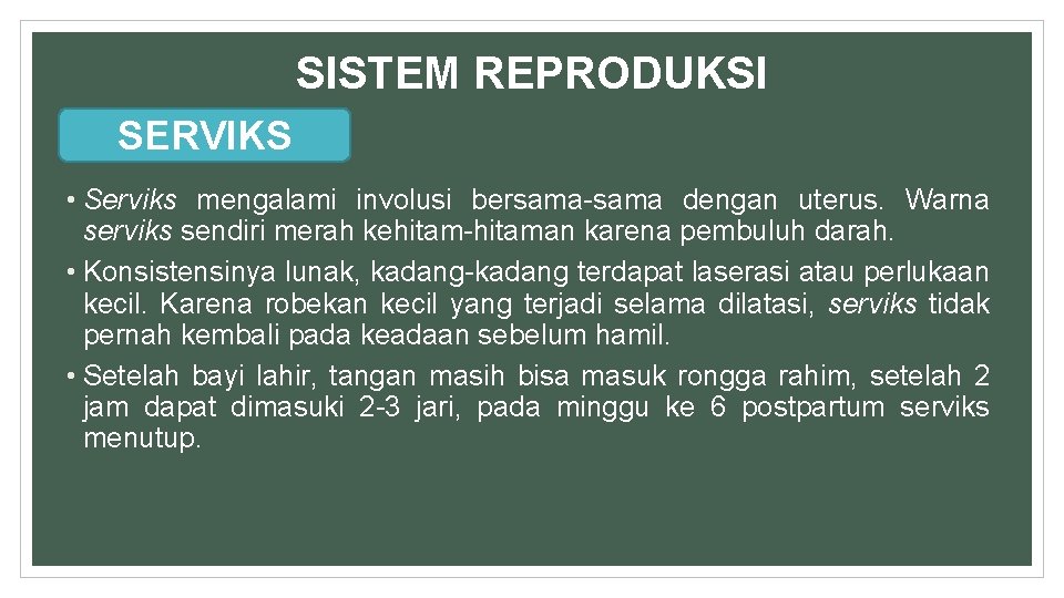 SISTEM REPRODUKSI SERVIKS • Serviks mengalami involusi bersama-sama dengan uterus. Warna serviks sendiri merah