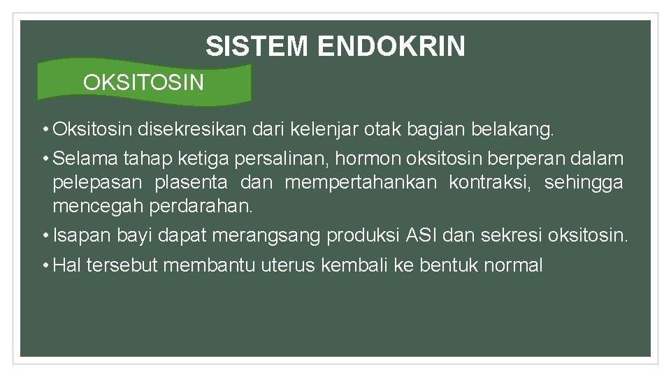 SISTEM ENDOKRIN OKSITOSIN • Oksitosin disekresikan dari kelenjar otak bagian belakang. • Selama tahap