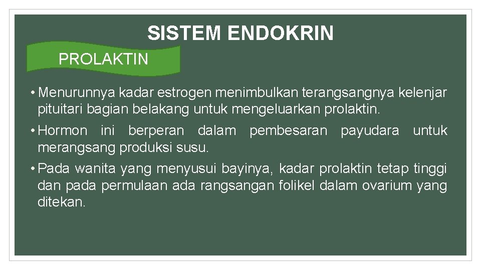 SISTEM ENDOKRIN PROLAKTIN • Menurunnya kadar estrogen menimbulkan terangsangnya kelenjar pituitari bagian belakang untuk