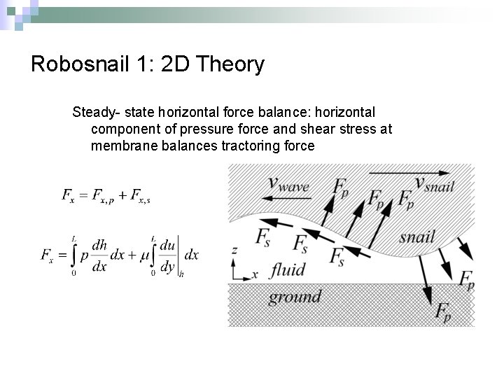 Robosnail 1: 2 D Theory Steady- state horizontal force balance: horizontal component of pressure