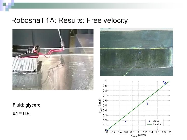 Robosnail 1 A: Results: Free velocity Fluid: glycerol b/l = 0. 6 