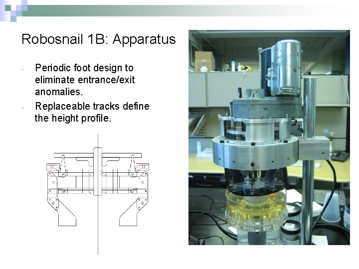 Robosnail 1 B: Apparatus - - Periodic foot design to eliminate entrance/exit anomalies. Replaceable