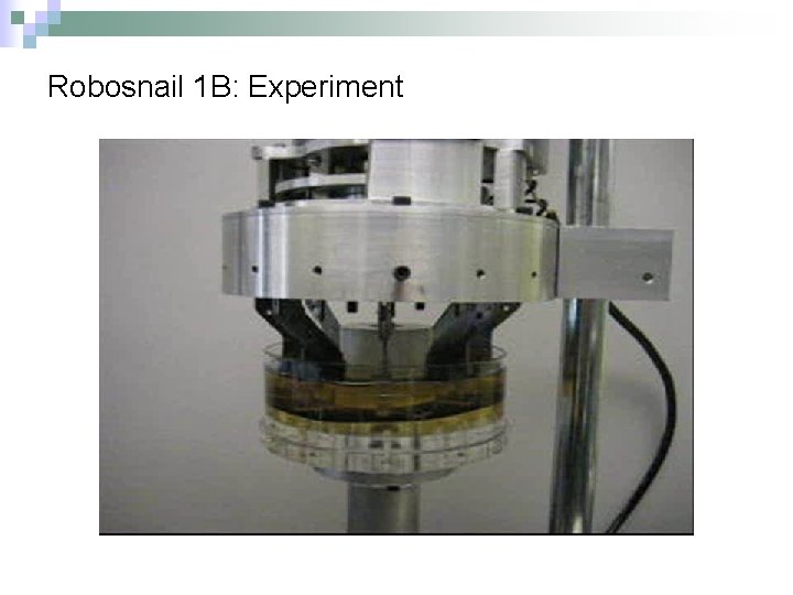 Robosnail 1 B: Experiment 